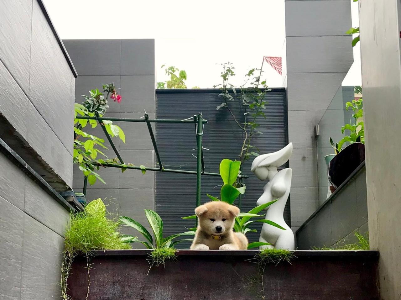 Greenwood Saigon Villa *